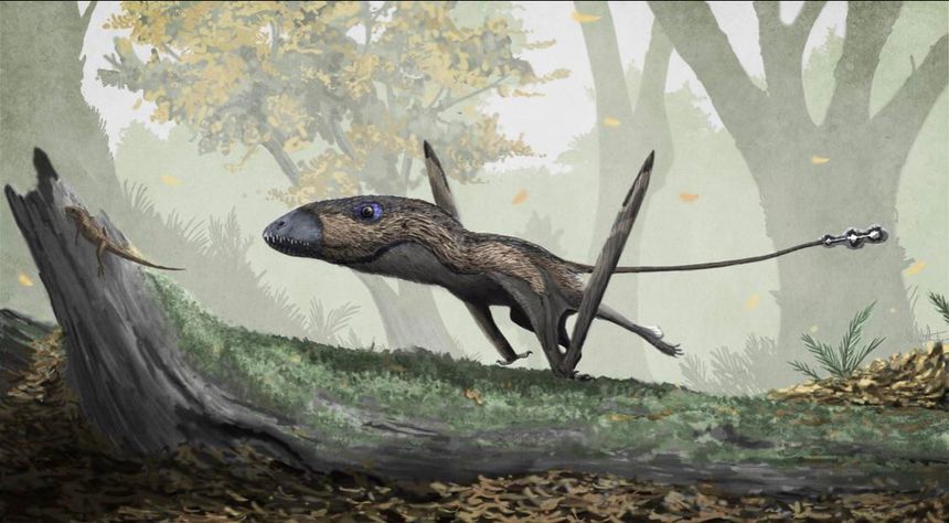Dimorphodon