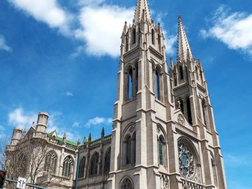 Cathedral Basilica of the Immaculate Conception