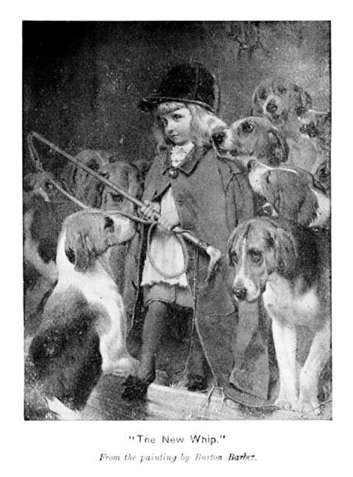 Young Boy with Hunting Dogs Prepares for Fox Hunting with a new Whip "The New Whip" by artist Burton Barber. Engraving published 1894. Original edition is from my own archives. Copyright has expired and is in Public Domain. fox hunting stock illustrations