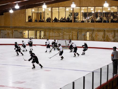 Watson Park Skating Rink