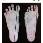 r/BarefootRunning - I found this really interesting - found it responding to a post about feet changing shape, thought it deserved a post of its own