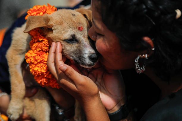 Woman kisses a dog during Kukur Tihar, the day dedicated to worshipping dogs as part of the Tihar festival of lights, at Sneha's Care animal...