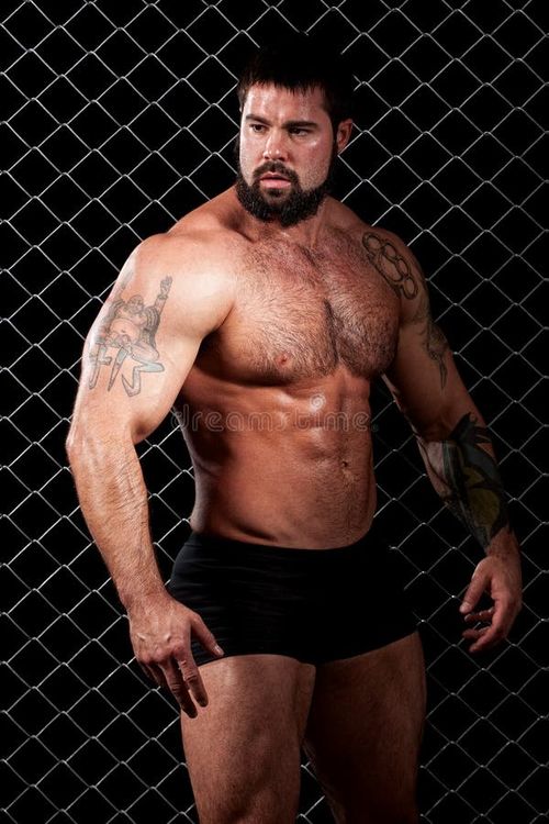 Bodybuilder posed in front of chain link. Studio shot. Bodybuilder stock images, royalty-free photos and pictures