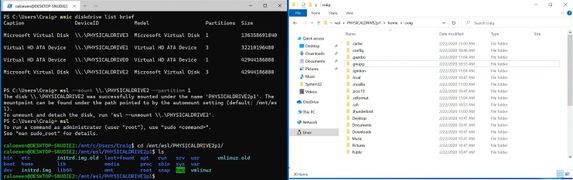 mount a disk in wsl2