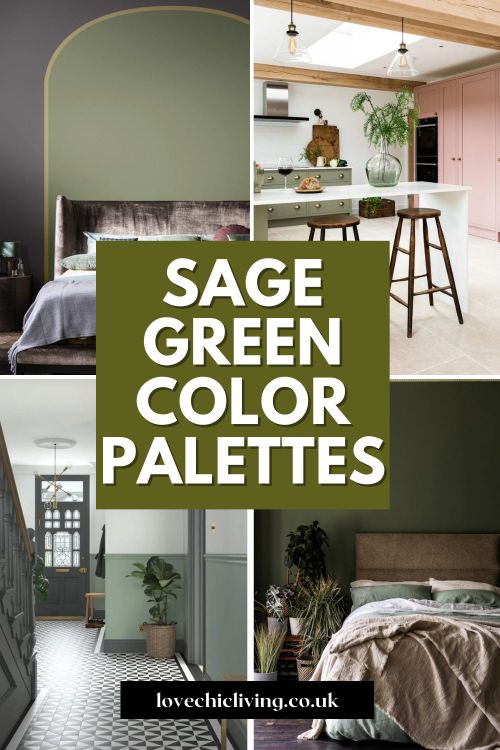 Explore stunning sage green color palettes and discover the perfect combinations that complement this soothing hue.