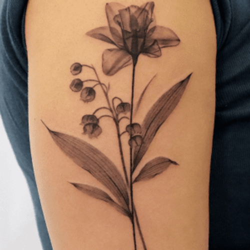 Screenshot 2024-07-02 at 1.48.18 PM