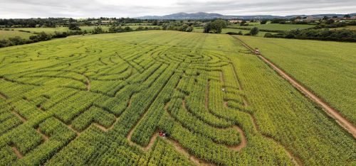 The Great Worcester Maize Maze