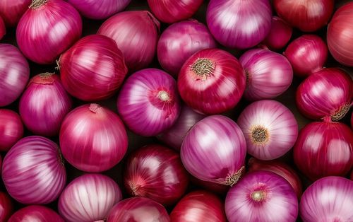Red Onions Gallery 2