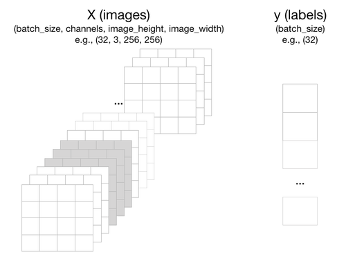 Example output of the Dataloader with customized Dataset