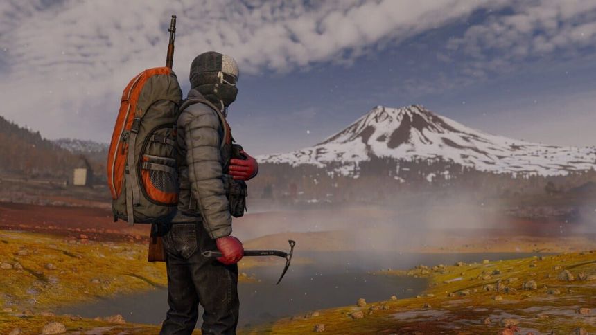 DayZ: Cool Edition