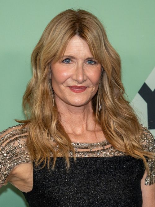 laura dern is this thing on 21 cropped