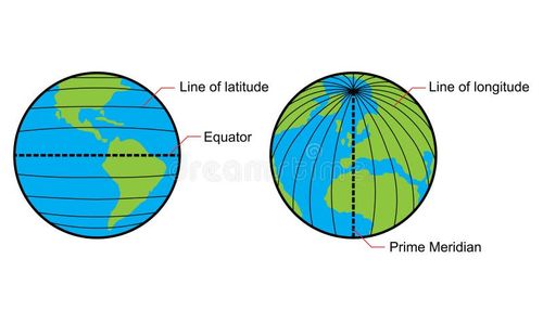 Educational tool for students and teachers featuring a scientific illustration for global mapping. This diagram clearly identifies the Line of Latitude, Equator, Line of Longitude, and Prime Meridian on earth globes. Longitude vectors