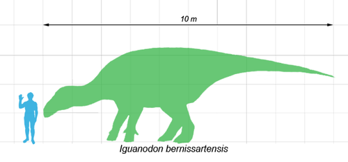 iguanodon scale