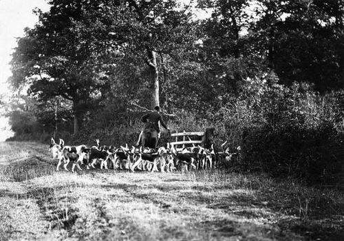 The Whaddon Chase.
