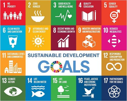An infographic listing the 17 Sustainable Development Goals.