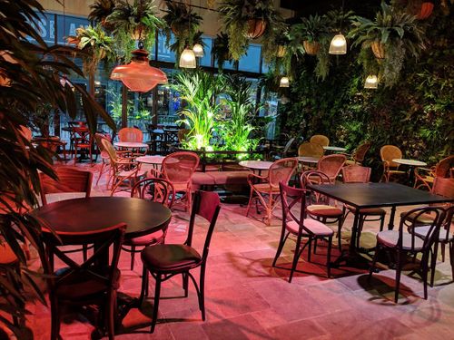 The Botanist