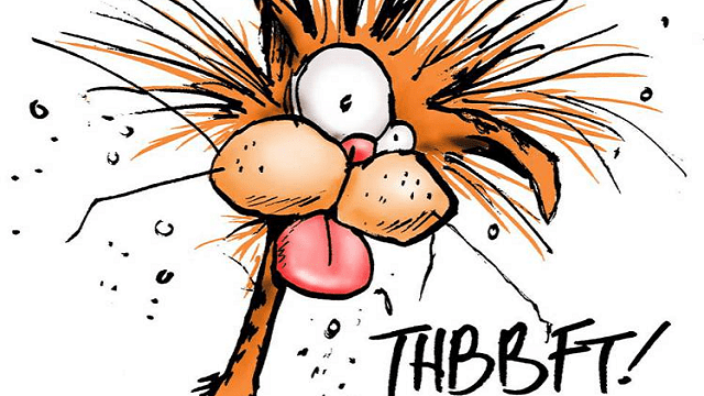 Bill the Cat ~ Everything You Need to Know with Photos | Videos