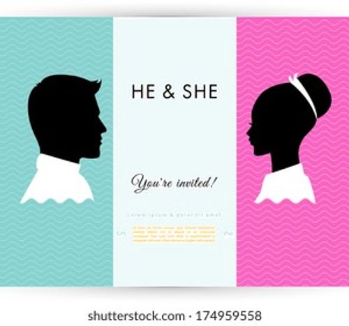 Vector illustration of He & She Stock Vector