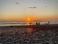 The Year of Surf: Learning to Surf Around the World — No Maps or Foot Tracks