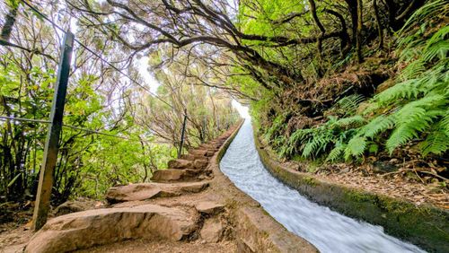 Lagoon and forest along Levada do Alecrim trail