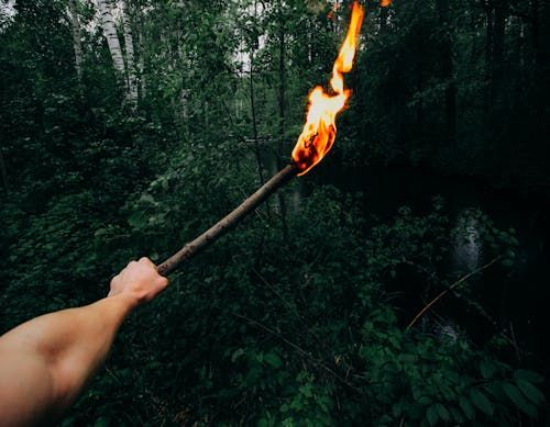 Free A person holds a flaming torch amidst a dense, dark forest setting. Stock Photo