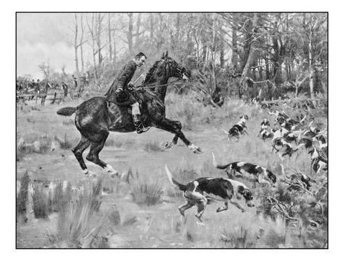 antique photo of paintings: hunting - fox hunting painting stock illustrations