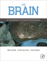 The Brain