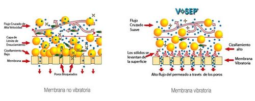 La revolución silenciosa: procesadores que imitan el flujo de iones celulares