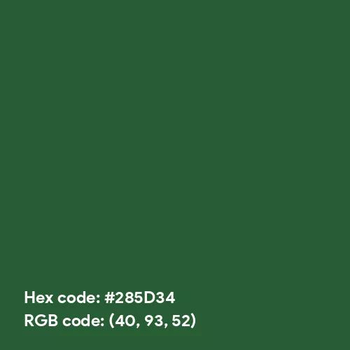 Matte Dark Green (Hex code: 285D34) Color Thumbnail