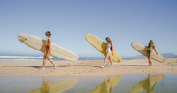 Surf Accessories - Seea