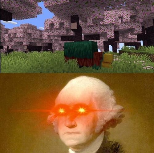 r/MinecraftMemes - Thoughts on the just revealed cherry blossom biome?