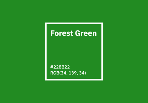 Forest Green Color
