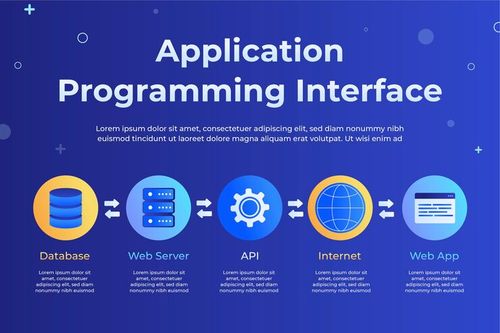 Free Vector gradient api infographic