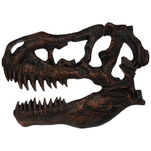 Hobby Lobby T-Rex Skull Wall Decor, Dinosaur Fossil Head, Brown, 16.75 x 11.88 inches, MDF Material, Office, Father's Day