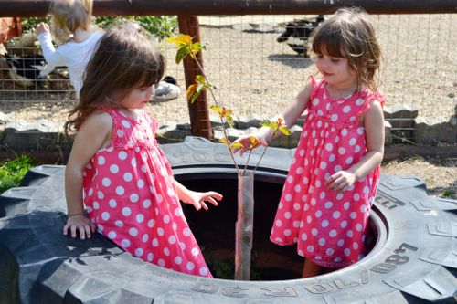 Saint James City Farm