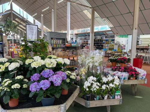 Chilton Garden Centre