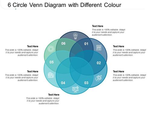 6 circle venn diagram with different colour