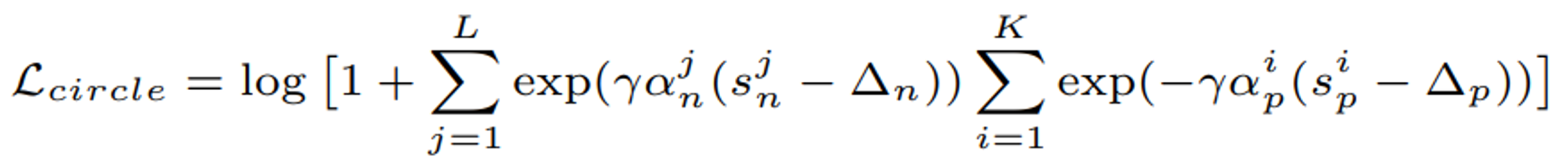 circle_loss_equation1