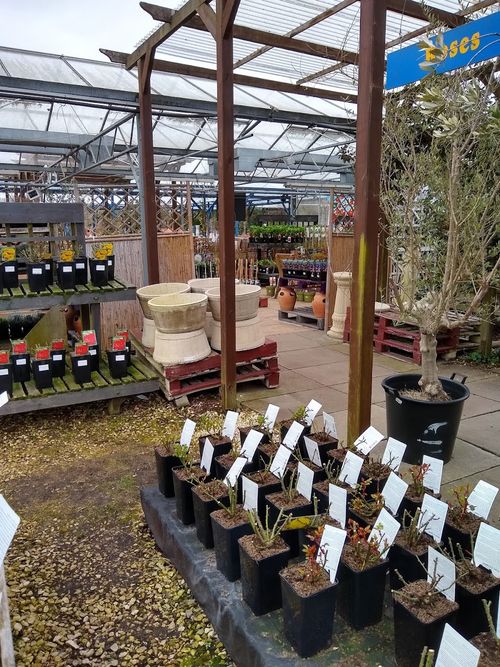 Manor Garden Centre
