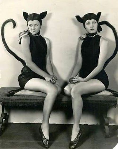 Vintage Halloween cat Costumes