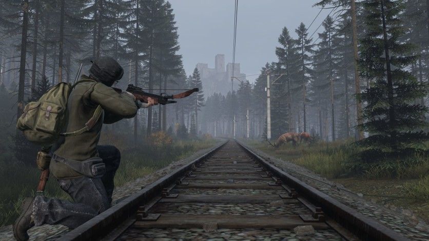 Captura de pantalla 17 - DayZ Cool Edition