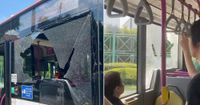 SBS bus window shatters after incident with lorry along Serangoon Garden Way - Mothership.SG - News from Singapore, Asia and around the world