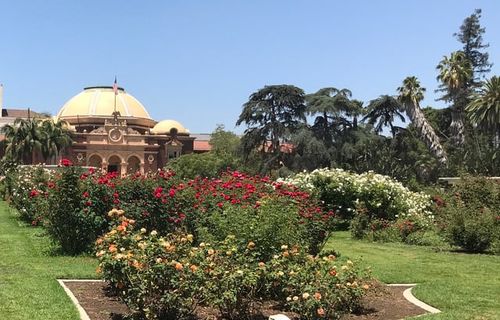 r/LosAngeles - Rose Garden, Exposition Park.