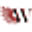 🌐