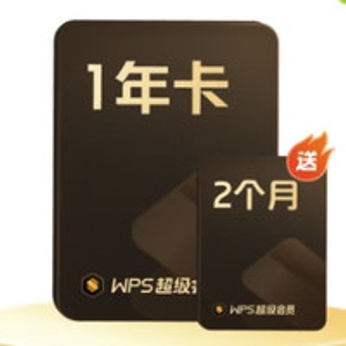PLUS会员：金山软件 WPS 超级会员1年2个月