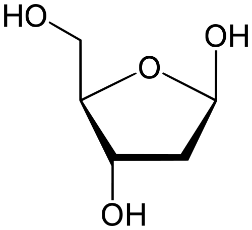 deoxyribose structure