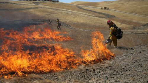 fuego técnico contrafuego apagar incendio forestal extinguir