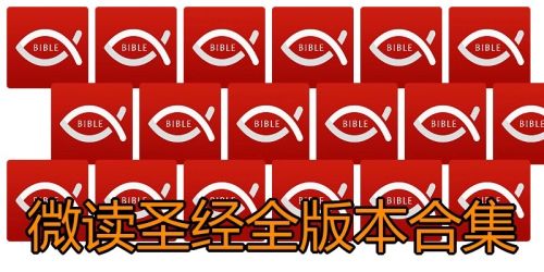 微读圣经全版本合集