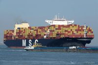 Iranian troops seize MSC box ship while Somali pirates net $5m ransom for bulker - The Loadstar