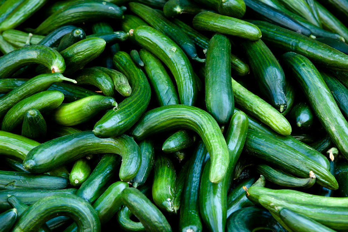 13 Interesting And Useful Facts About Cucumbers